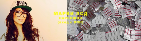 трава Карпинск
