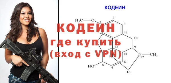 трава Карпинск
