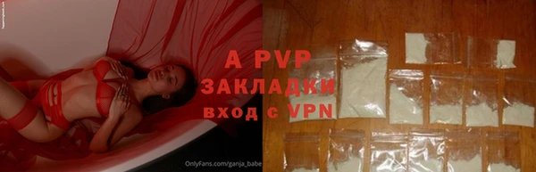 трава Карпинск