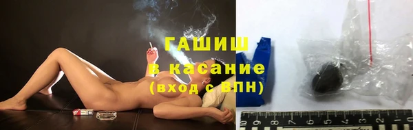 трава Карпинск