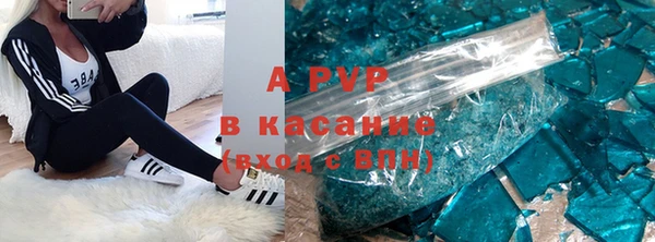 трава Карпинск