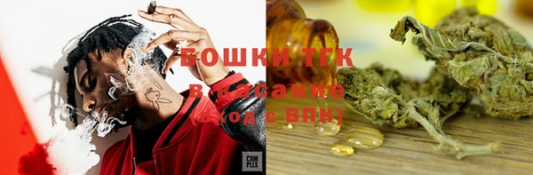 трава Карпинск